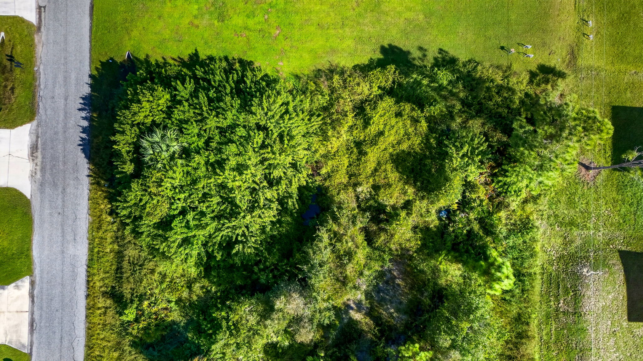 Aerial 4