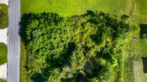 Aerial 4