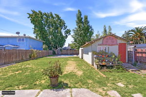 Spacious Backyard