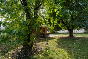  Photo 37