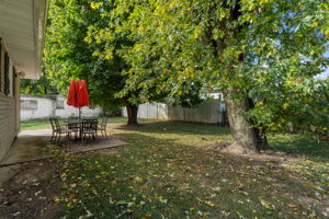  Photo 38