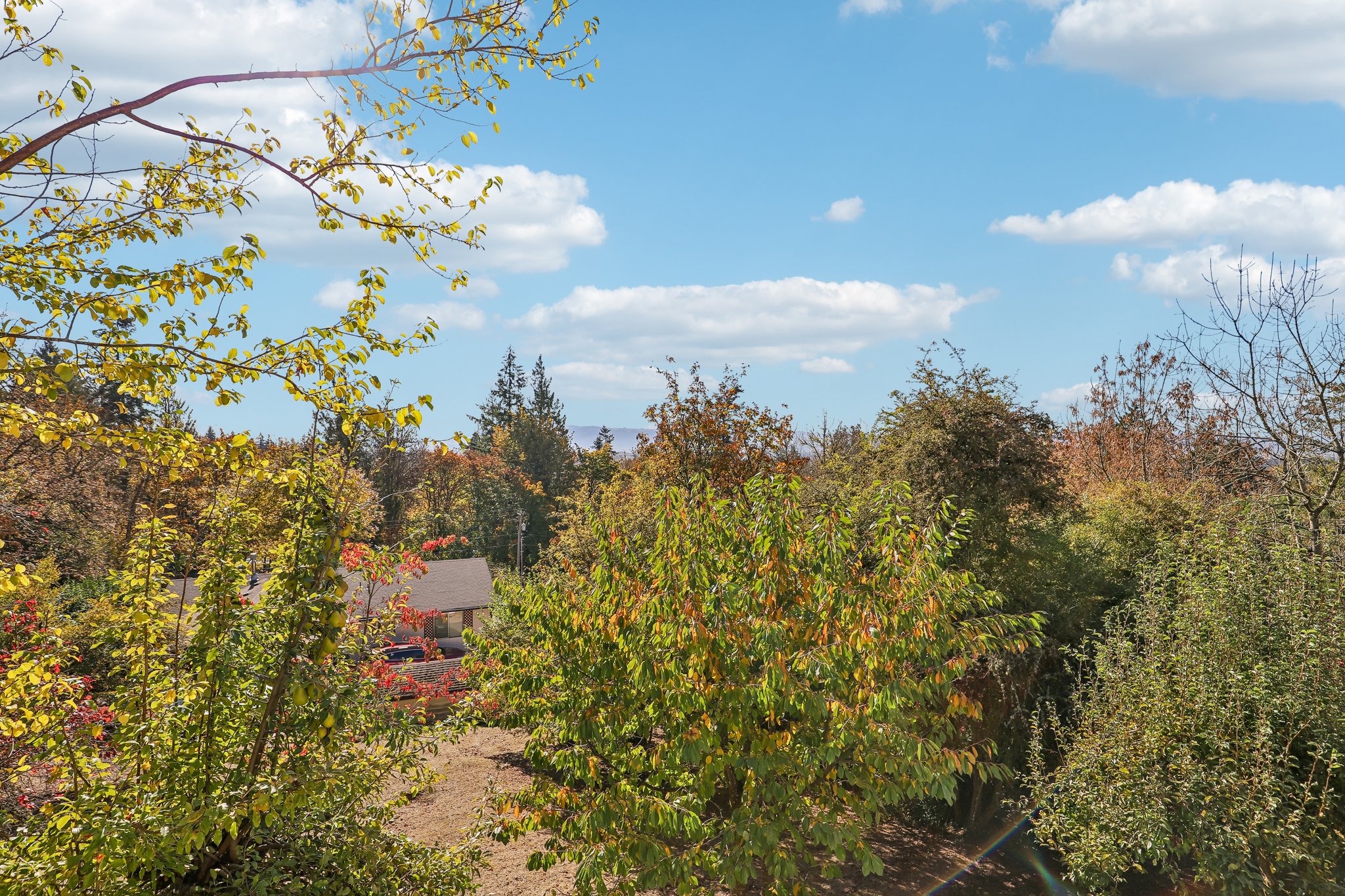 Sunnyside Dr-S2210-076.jpg