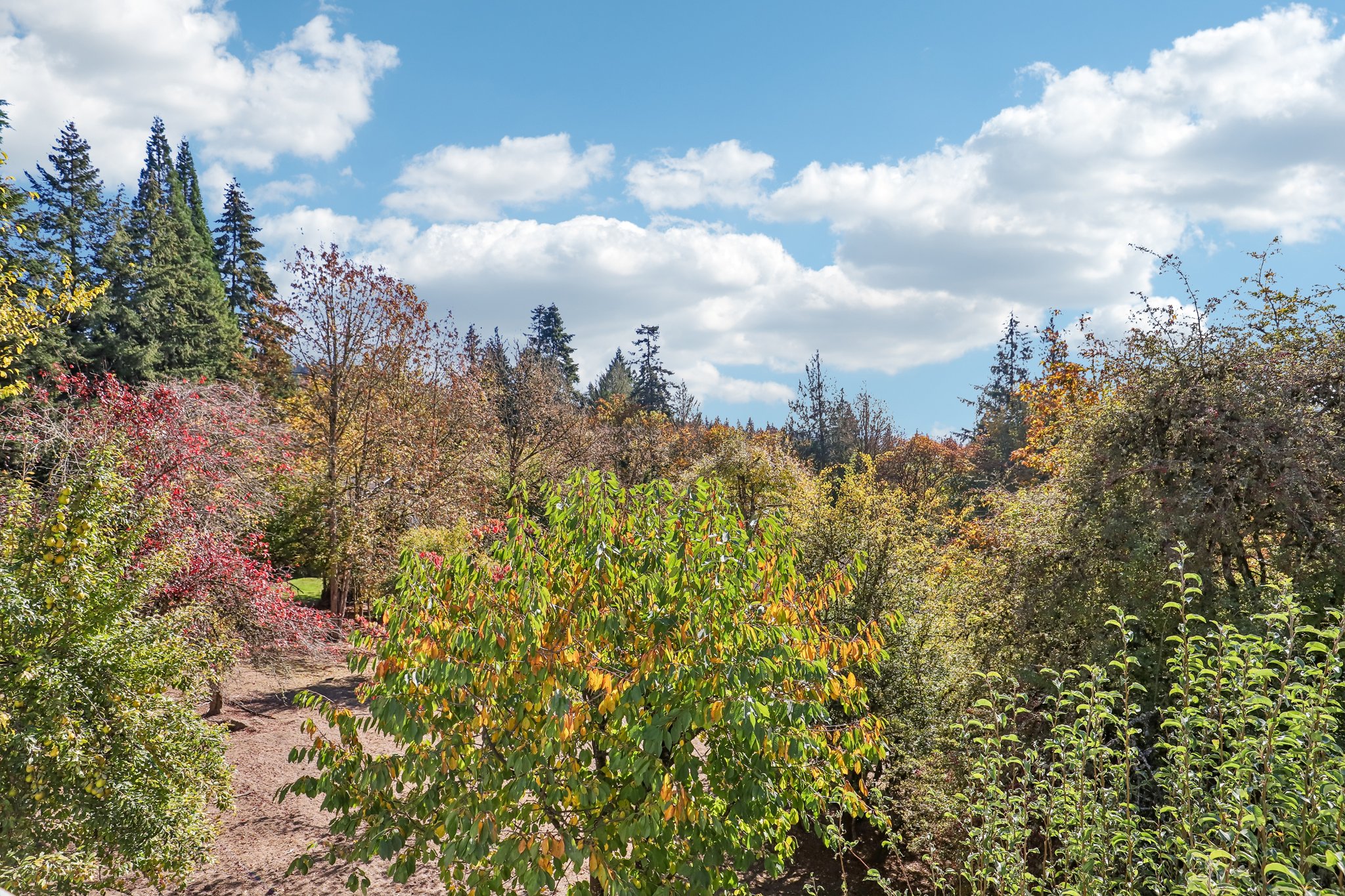 Sunnyside Dr-S2210-093.jpg