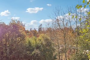 Sunnyside Dr-S2210-075.jpg