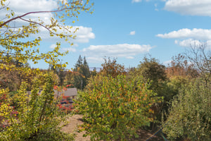 Sunnyside Dr-S2210-076.jpg