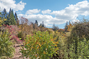 Sunnyside Dr-S2210-093.jpg