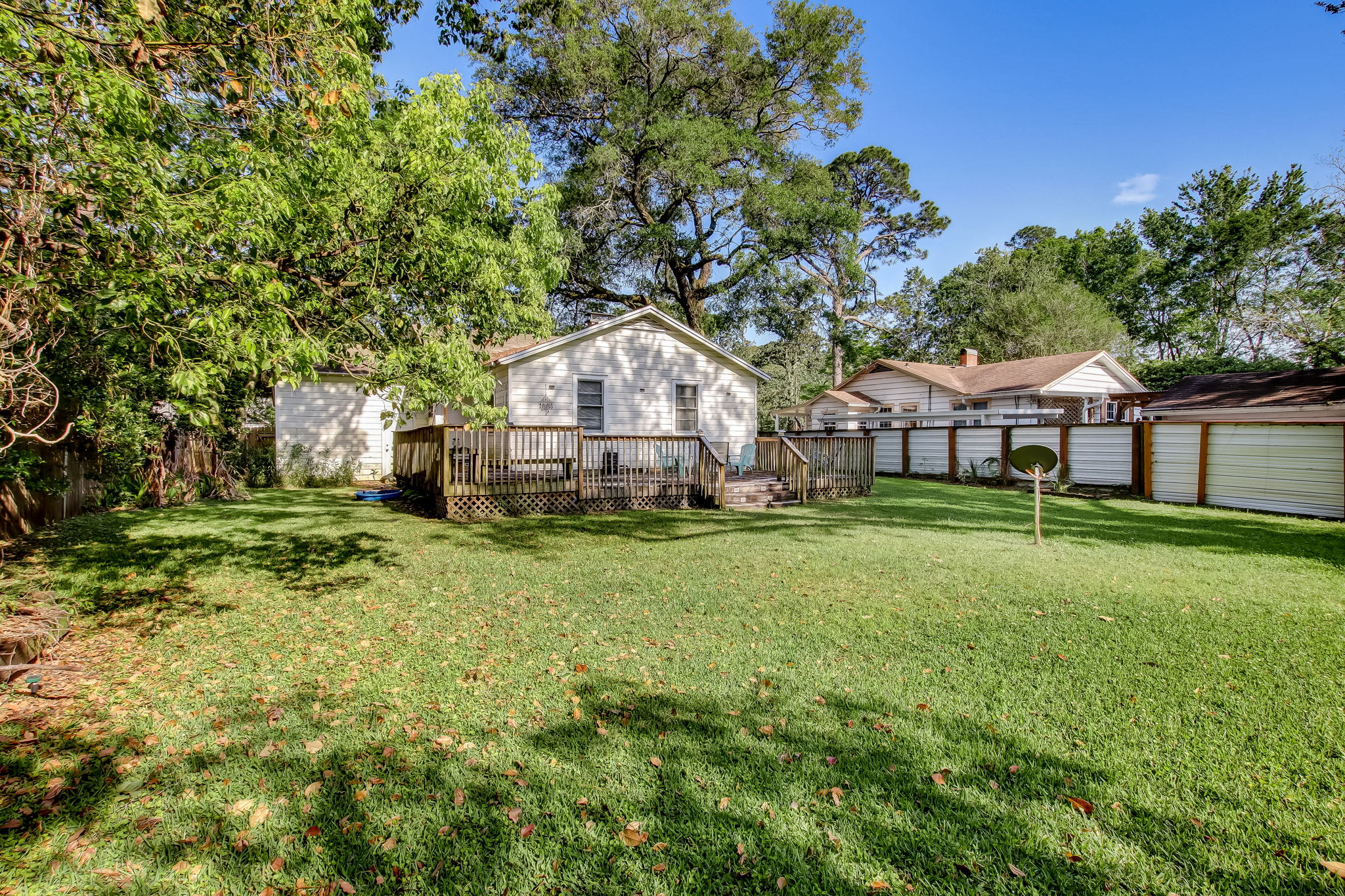 Back Yard