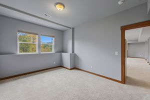 2nd Primary bedroom, downstairs, with view