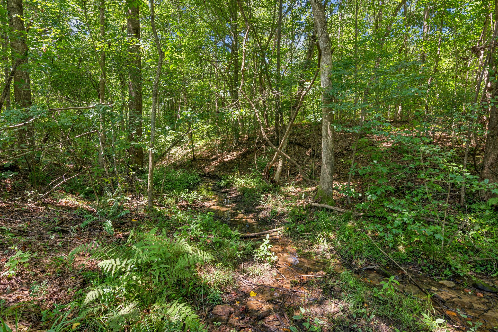 Local_Flavor_Films-1330_Yonah_Homer_Rd_Maysville_GA-306.jpg