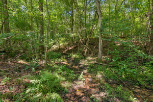 Local_Flavor_Films-1330_Yonah_Homer_Rd_Maysville_GA-306.jpg