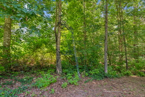 Local_Flavor_Films-1330_Yonah_Homer_Rd_Maysville_GA-311.jpg