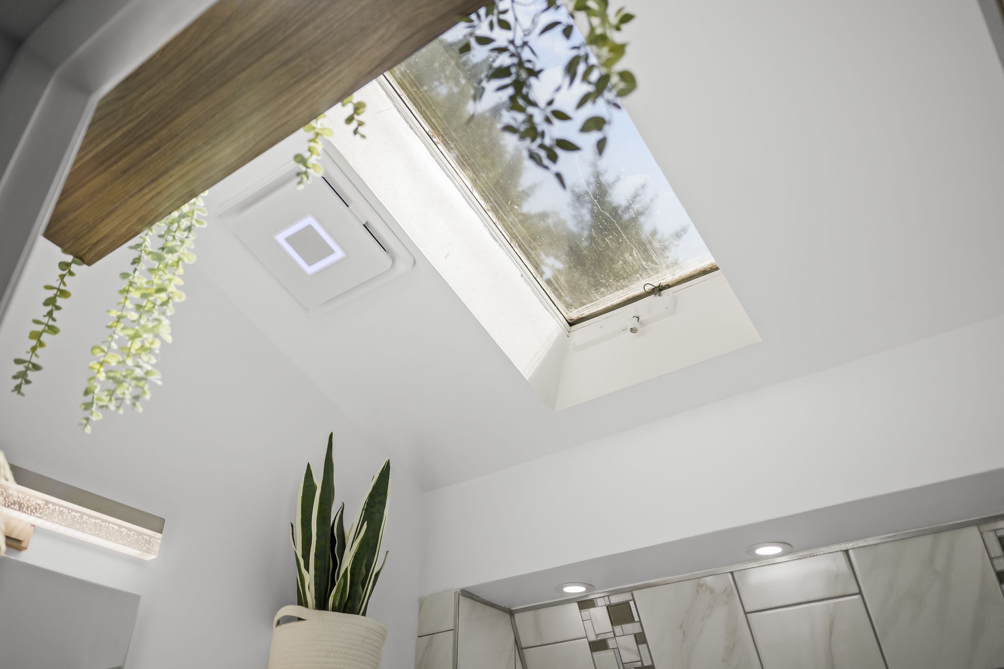  Photo 64