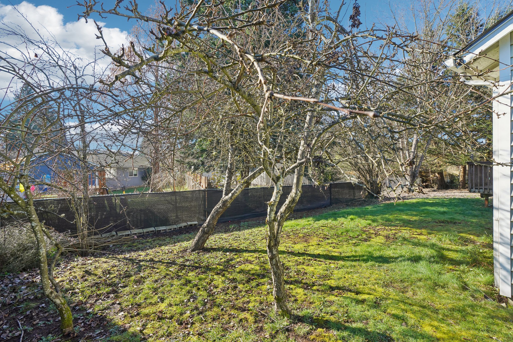 NE 34th Cir-S1202-033.jpg