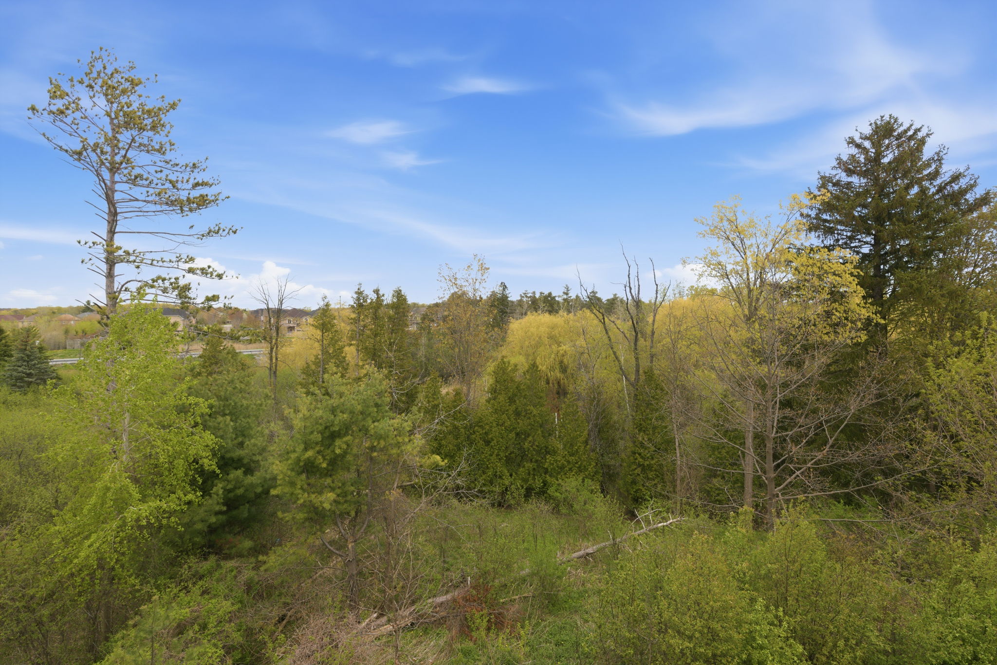 Property in Vaughan — delivered property photograph 40