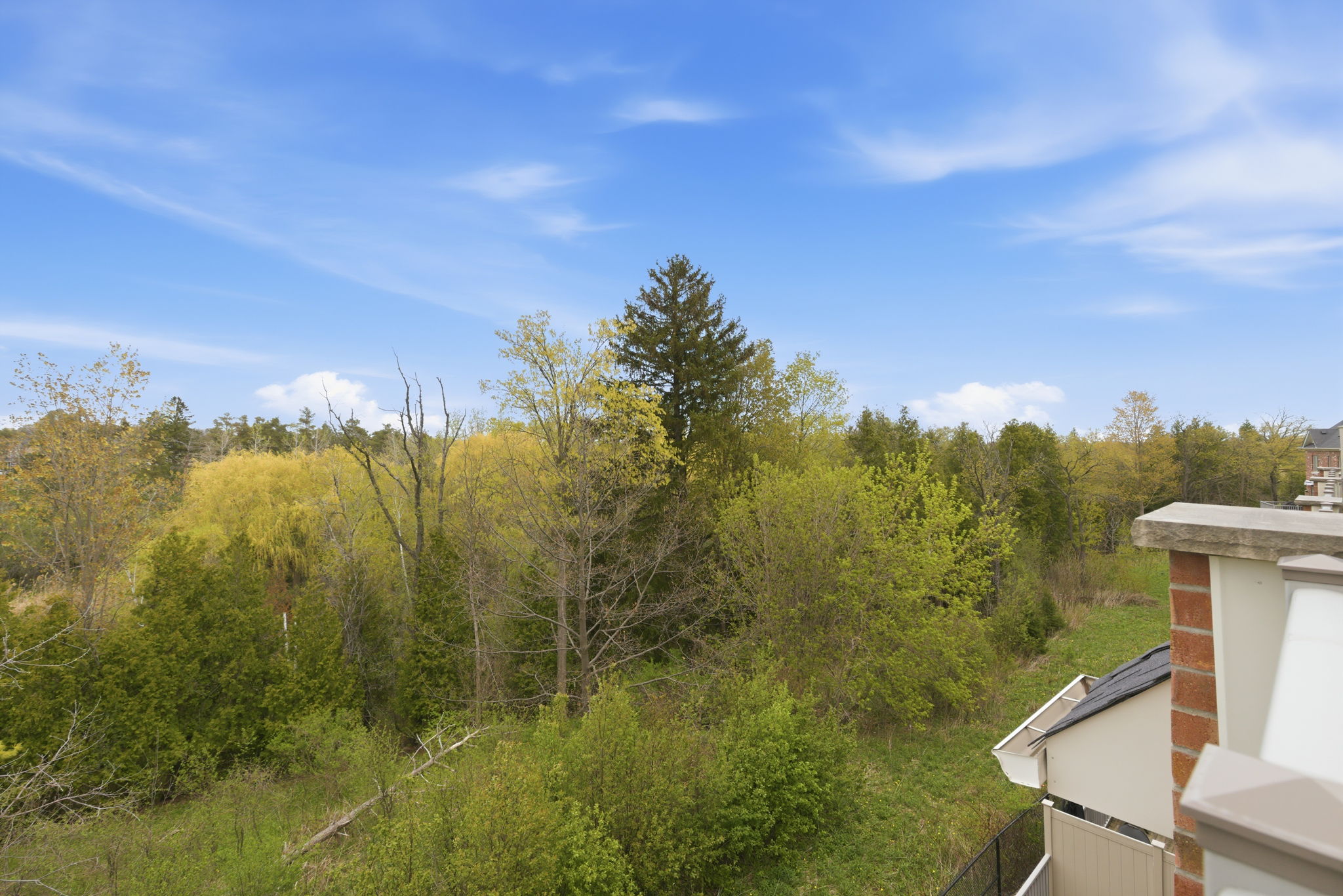 Property in Vaughan — delivered property photograph 42