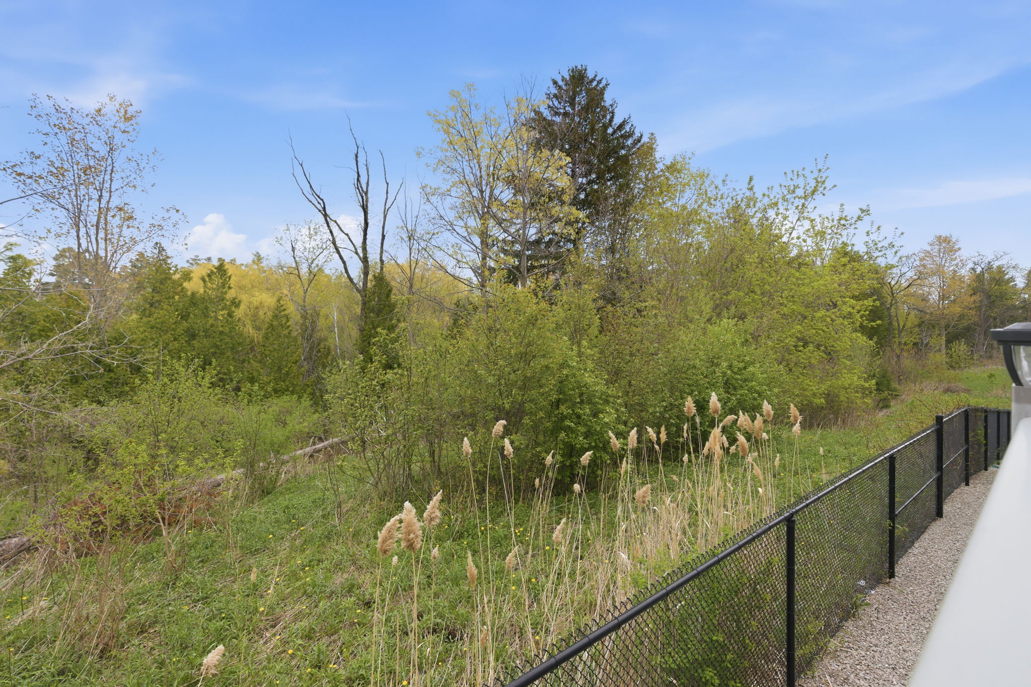 Property in Vaughan — delivered property photograph 51