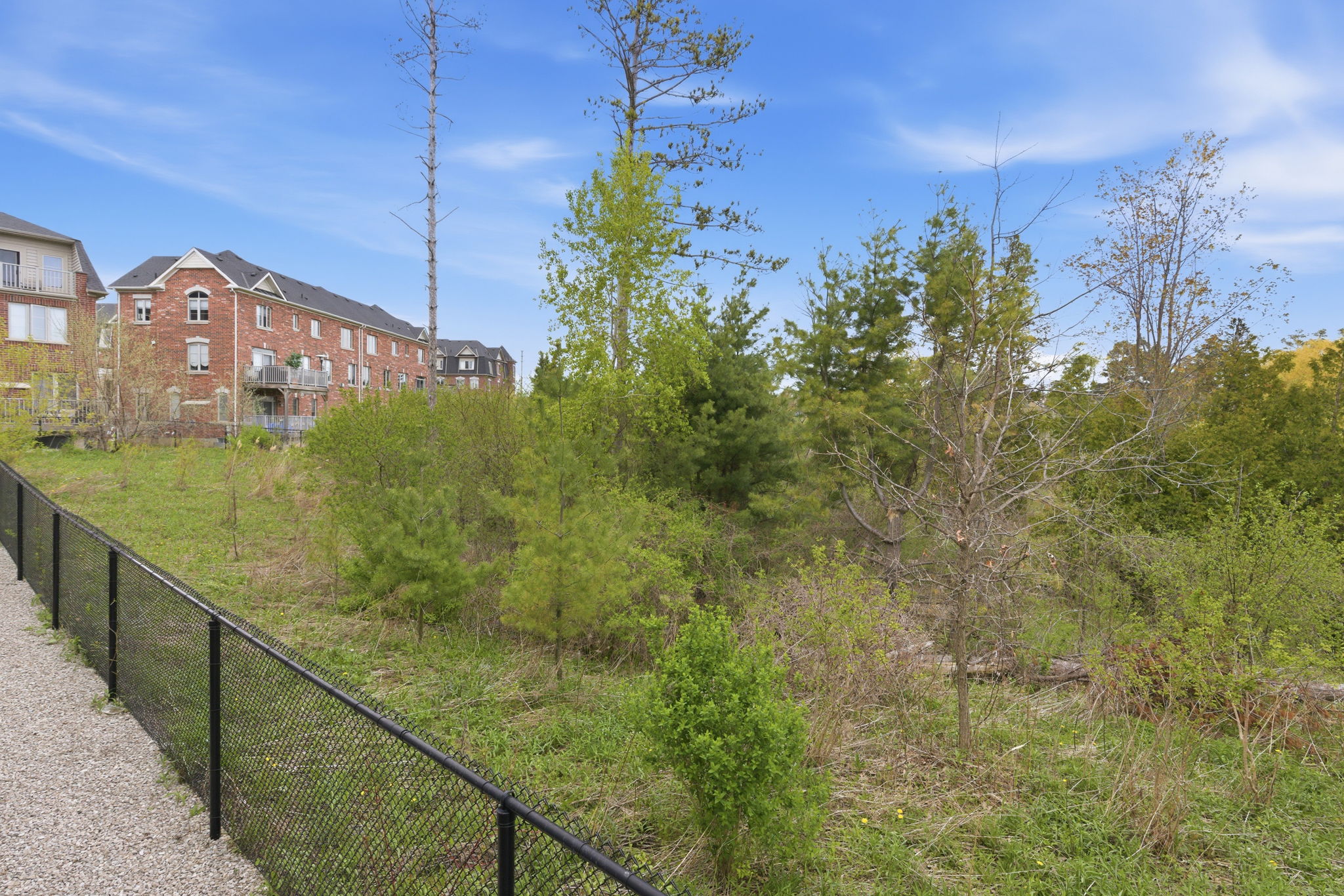 Property in Vaughan — delivered property photograph 52