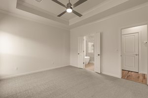  Photo 45