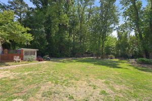  Photo 49