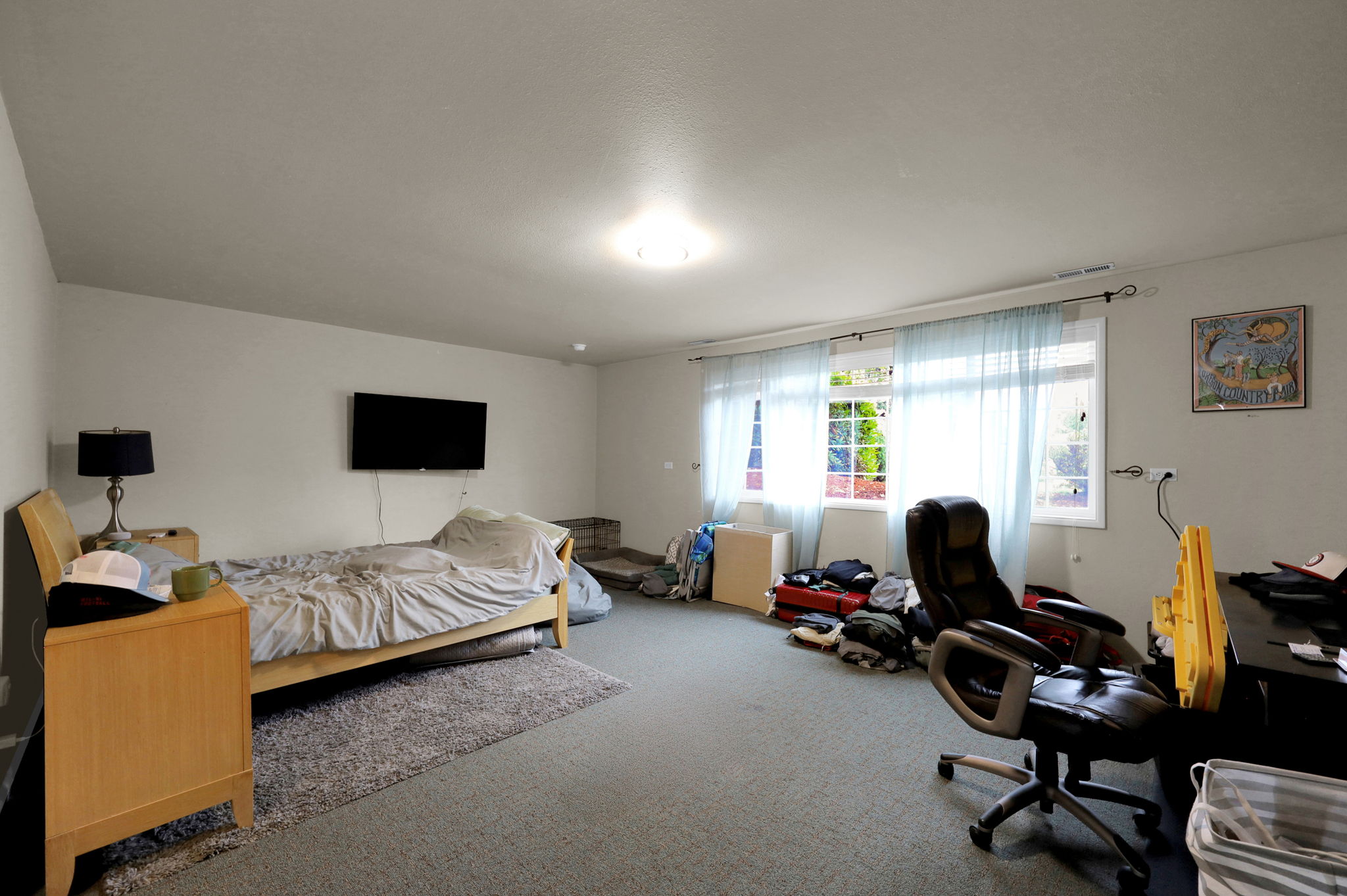  Photo 46