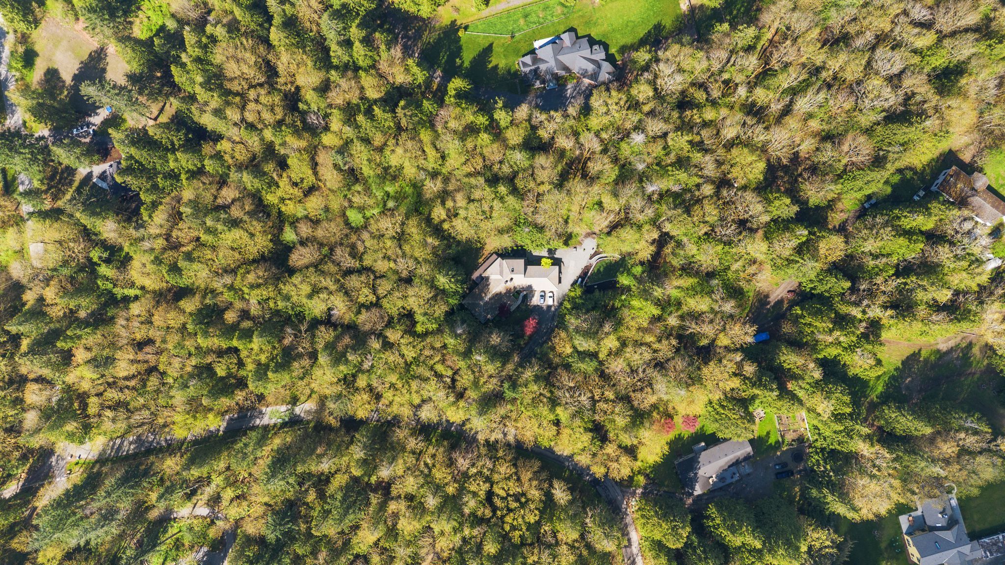 41_DJI_0720