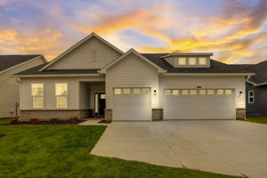 Petit Verdot Dr - VT-001