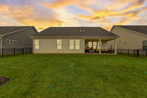 Petit Verdot Dr - VT-002