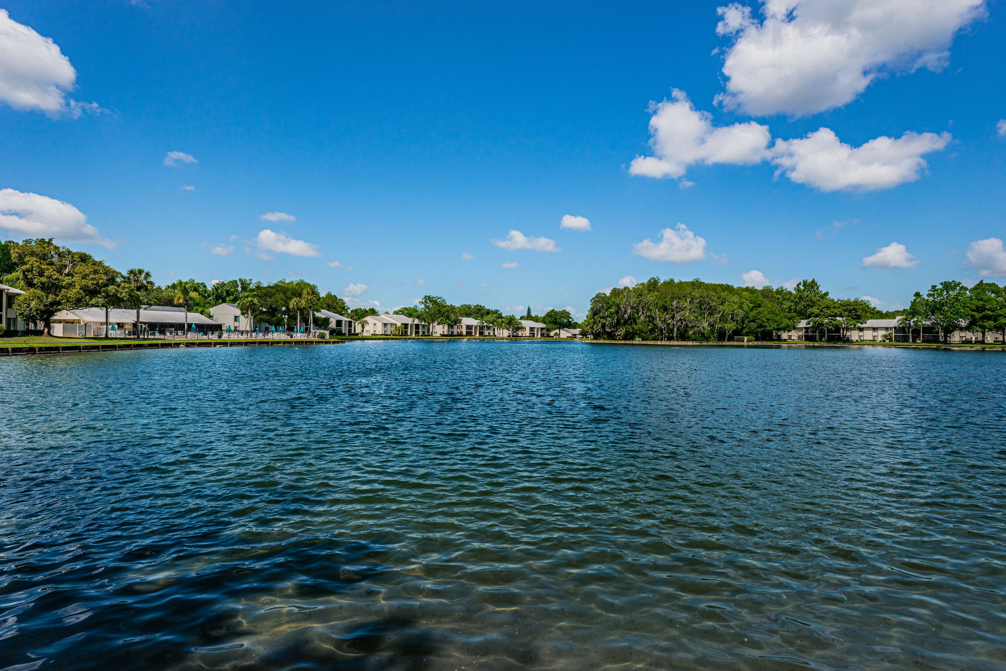 Pond View2