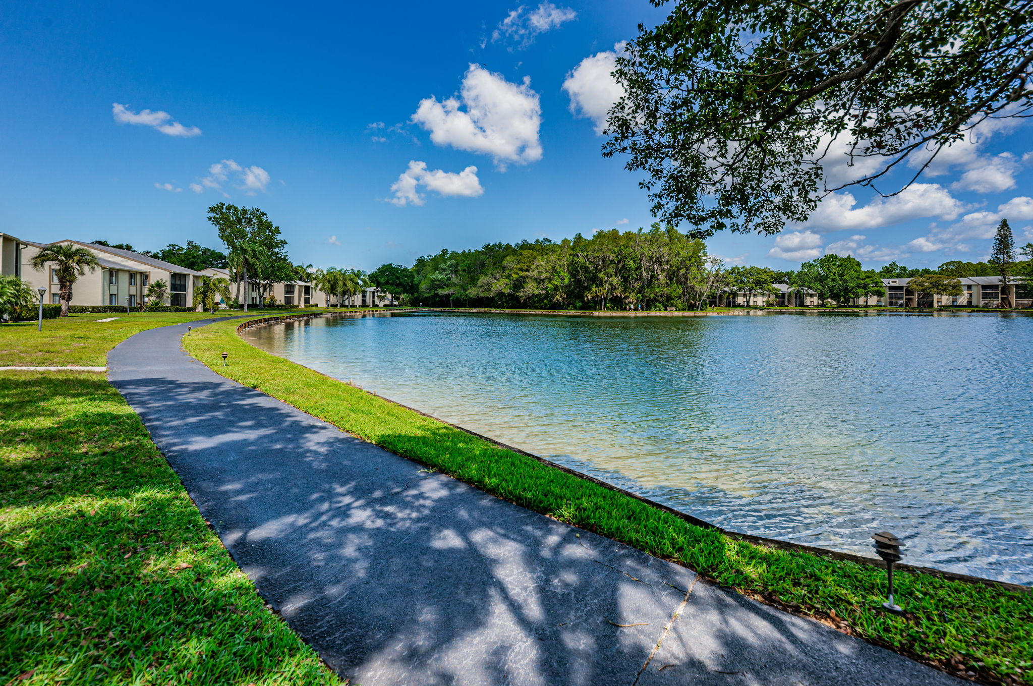 Walking Trail4