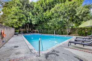 Adult Pool