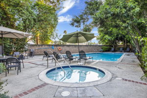 Adult Pool
