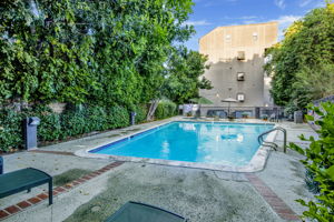 Adult Pool