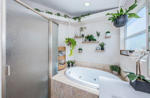 Master Bathroom1c