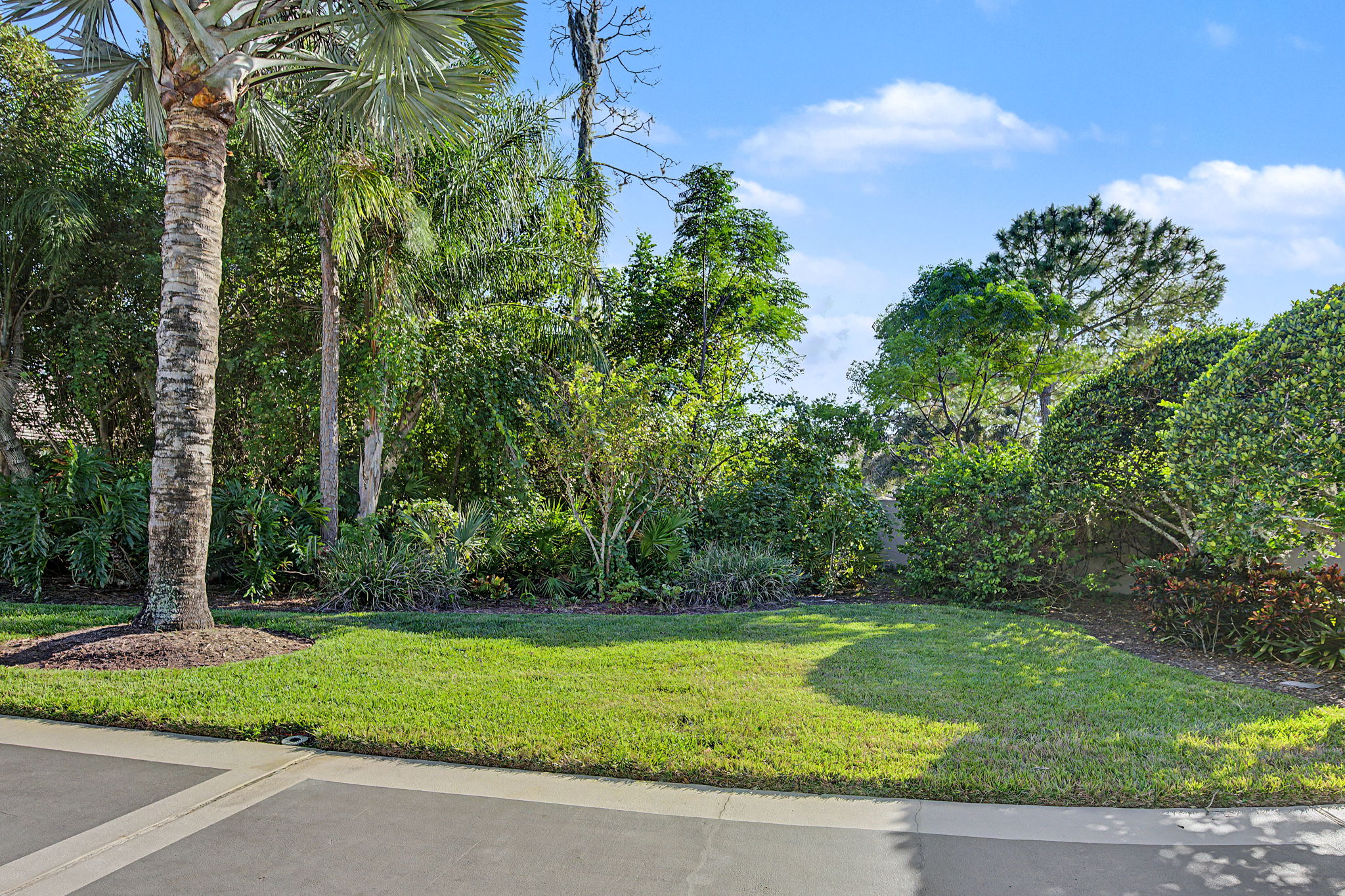 Frontyard4