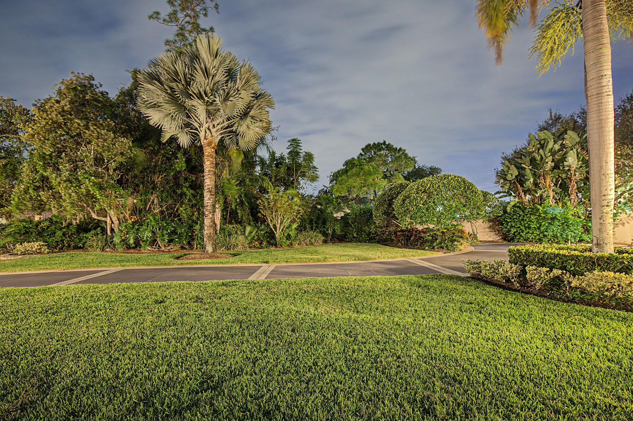Backyard40 (1)