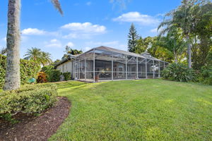 Backyard10