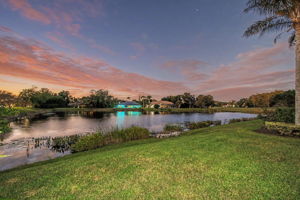 Backyard34