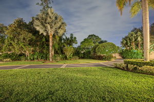 Backyard40 (1)