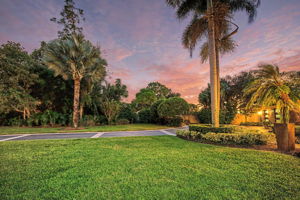 Frontyard31