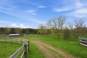  Photo 49
