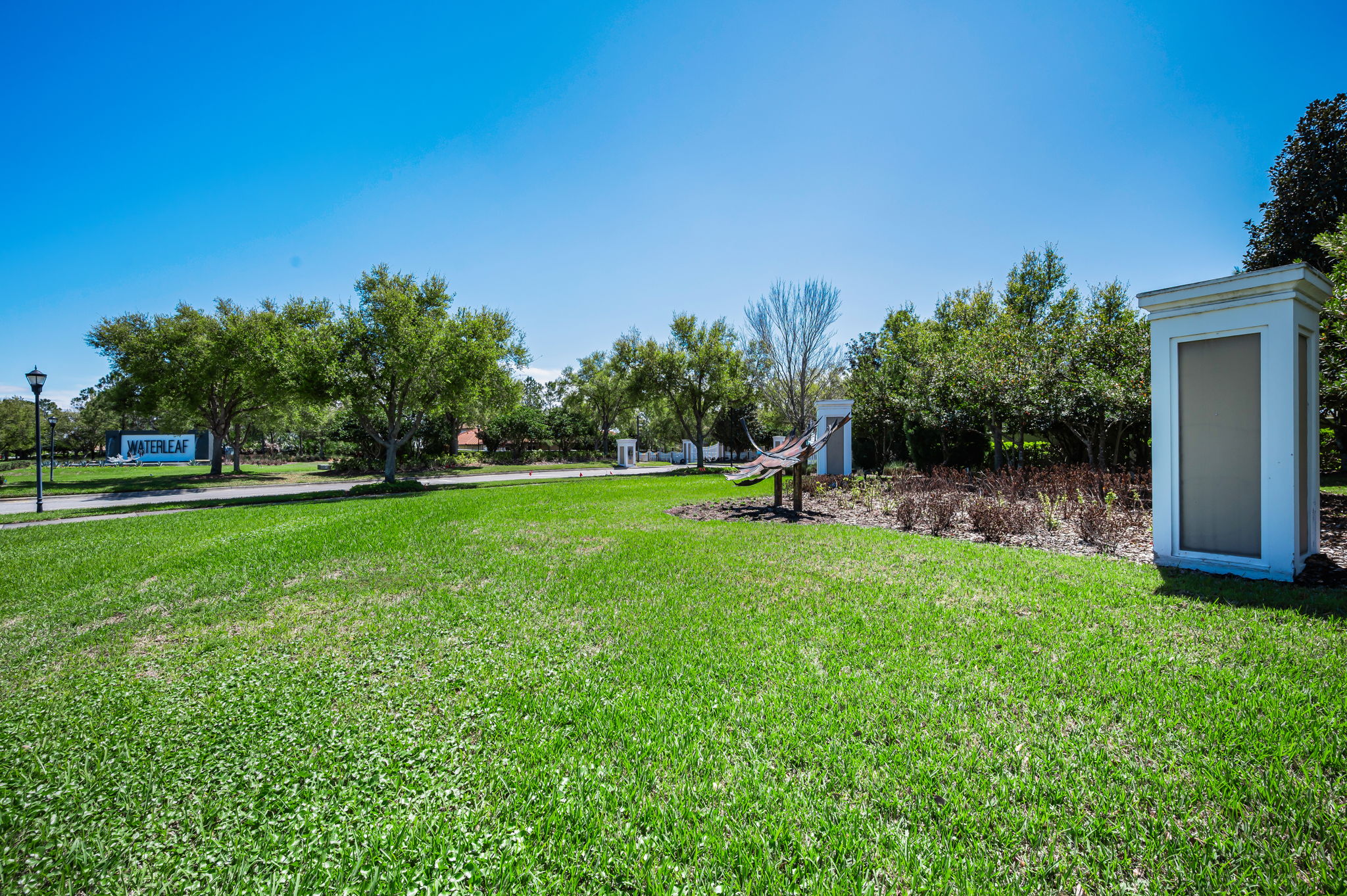 Waterleaf7