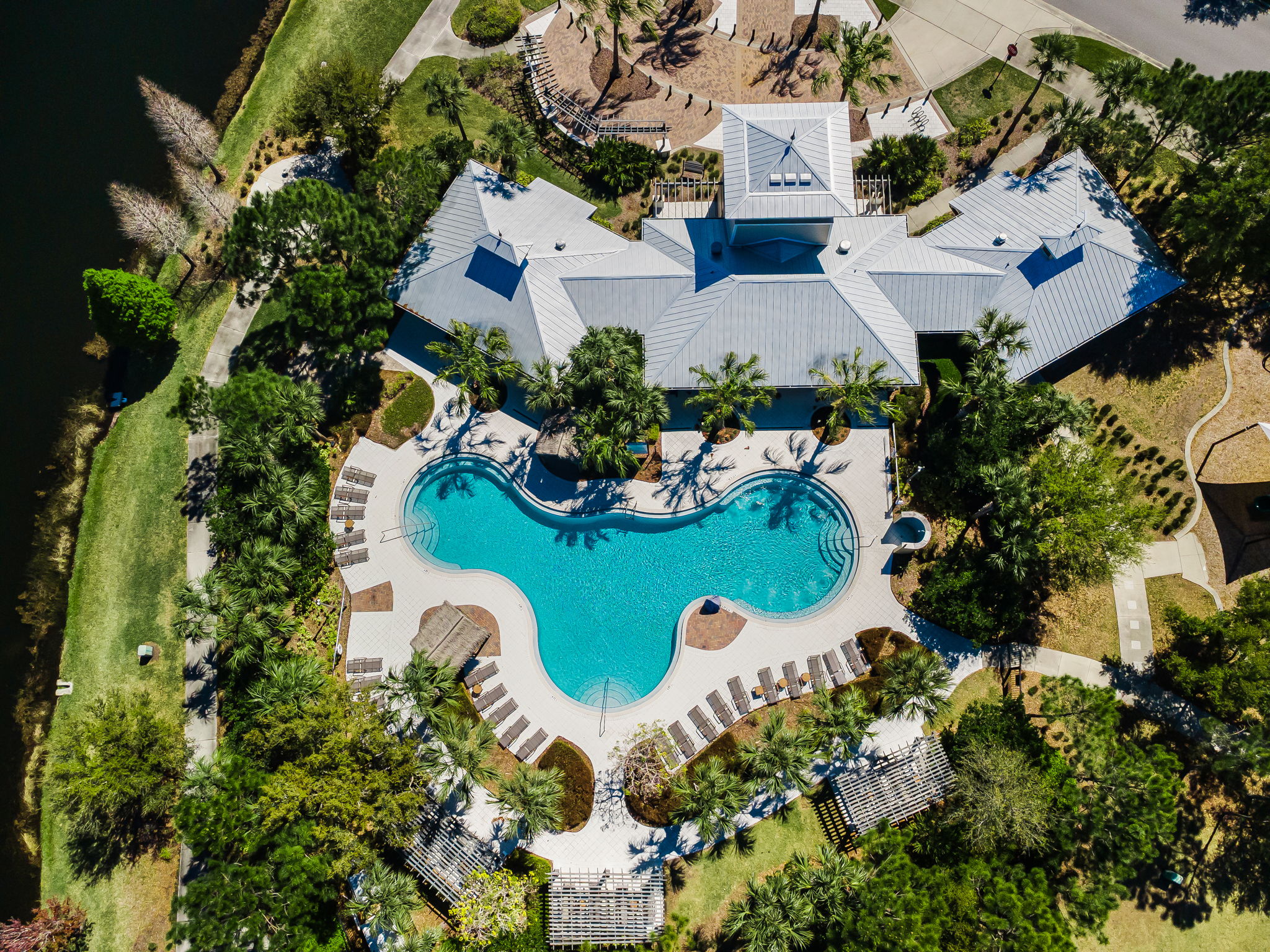 Waterleaf15