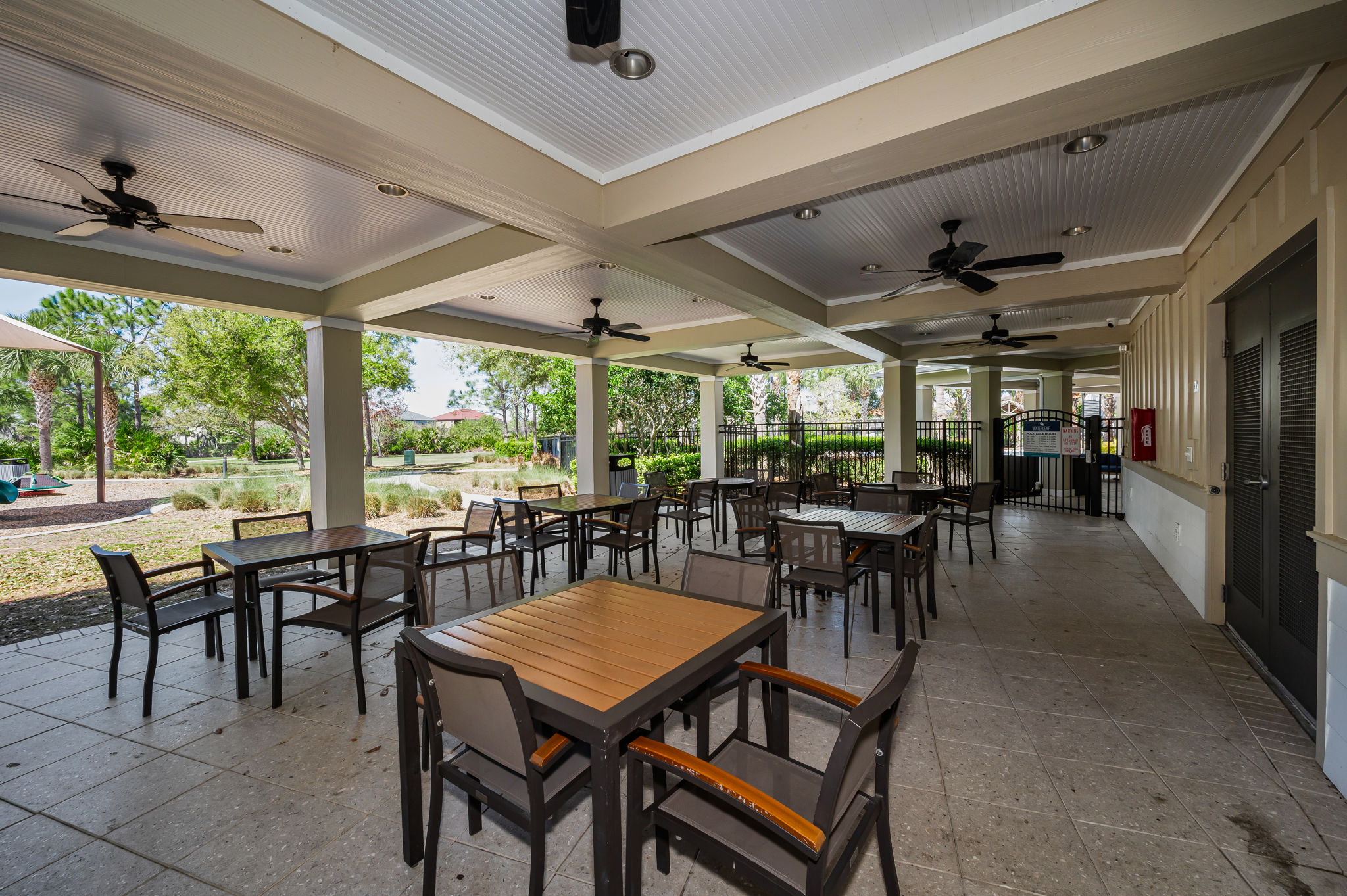 Waterleaf19