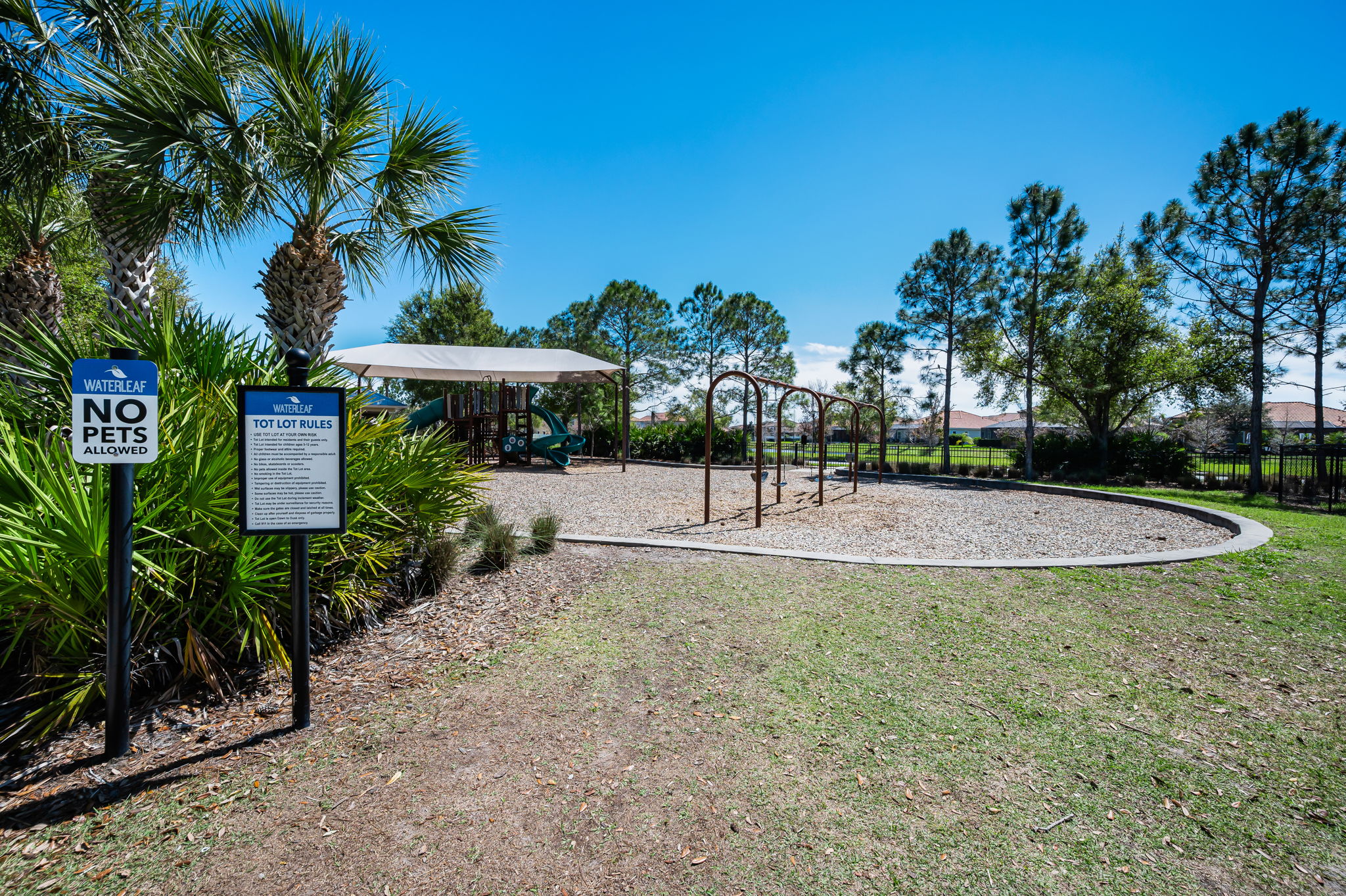 Waterleaf25