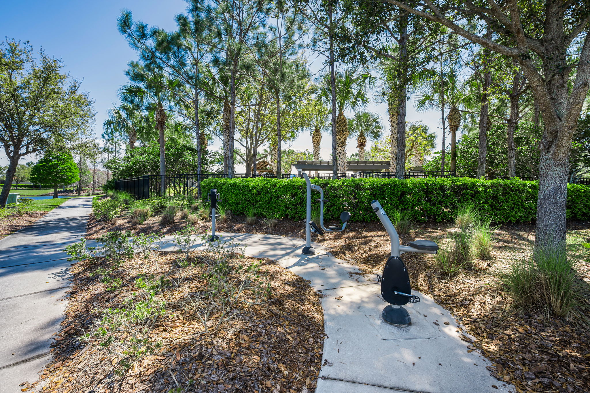 Waterleaf38