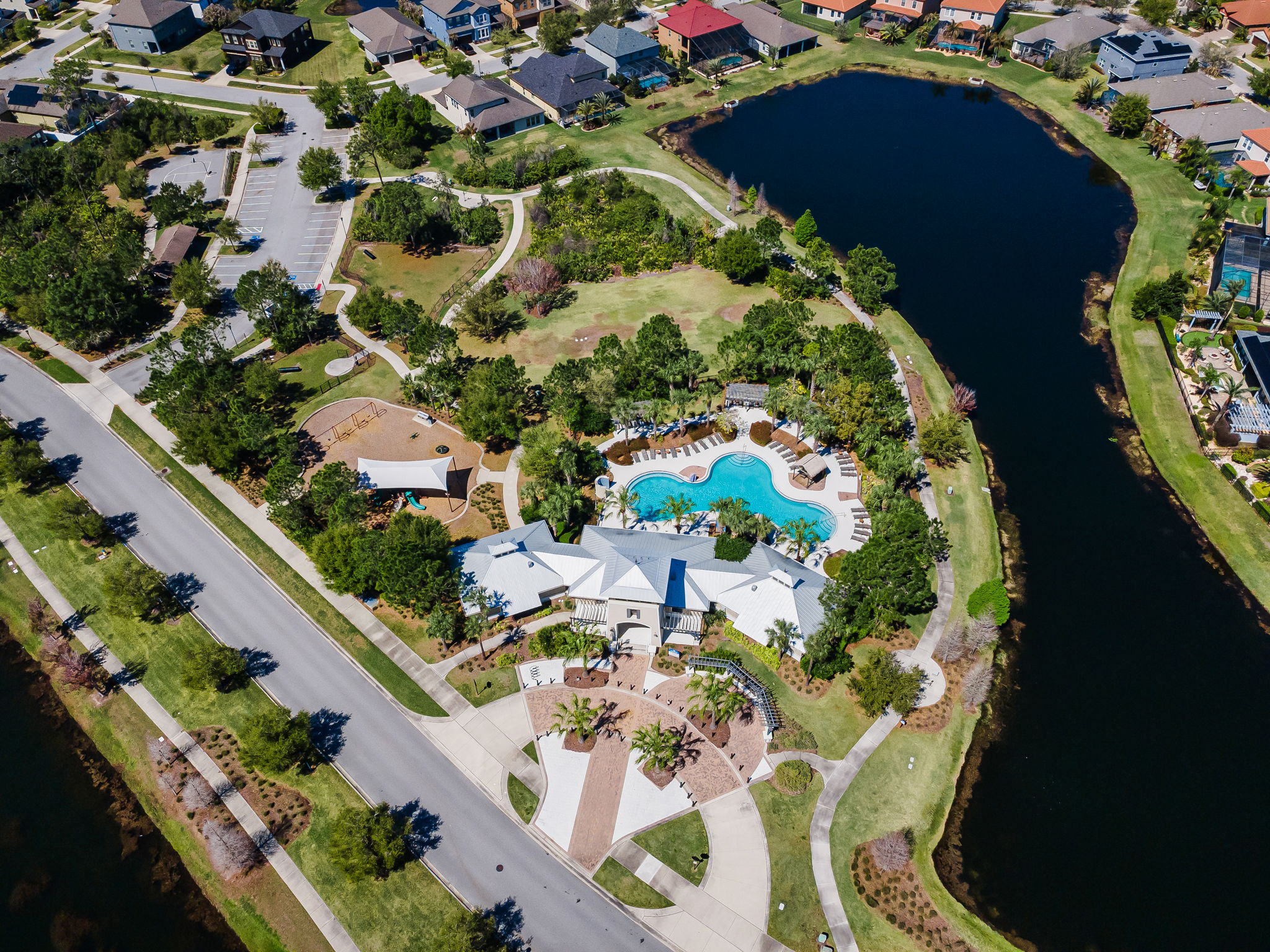 Waterleaf41