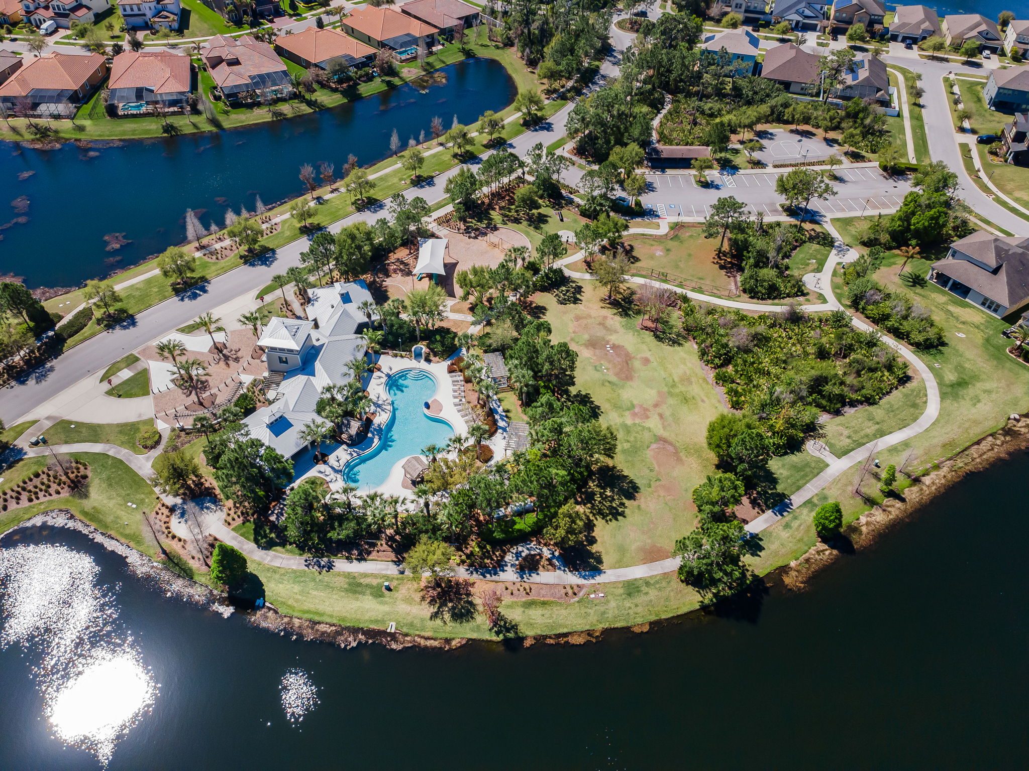 Waterleaf44
