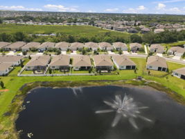 Aerial (6)