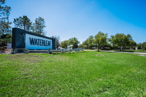 Waterleaf3