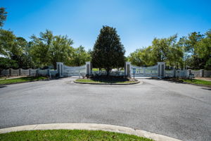 Waterleaf6